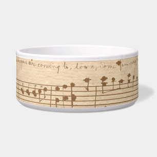 vintage beige music notes