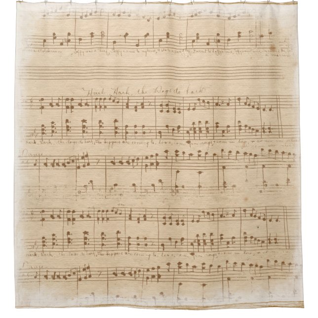 vintage beige music notes shower curtain (Front)