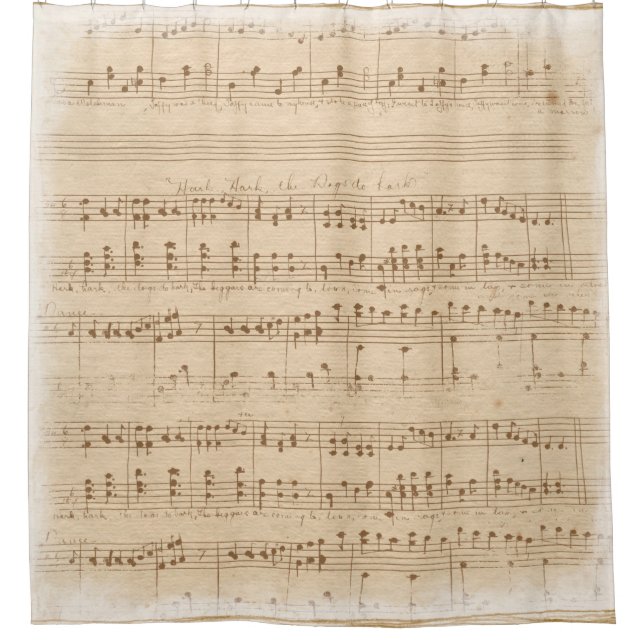 Vintage beige music notes shower curtain (Front)