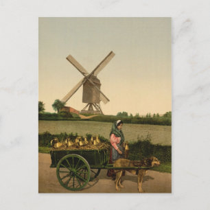 Vintage Belgian Milkmaid (Laitière Belge) Postcard