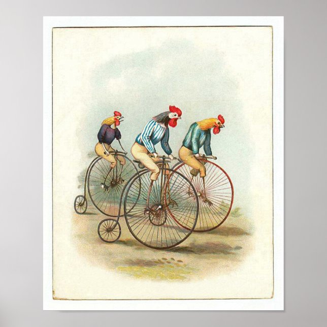 Vintage Bicycle Poster, Pennyfarthing Roosters Poster (Front)