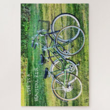 Vintage Bicycles Summer Transportation Life Ride