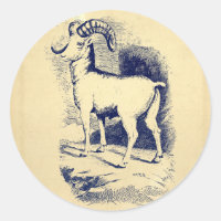 VINTAGE BIG HORN SHEEP