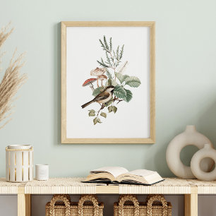 Vintage Bird and Mushroom Botanical Poster