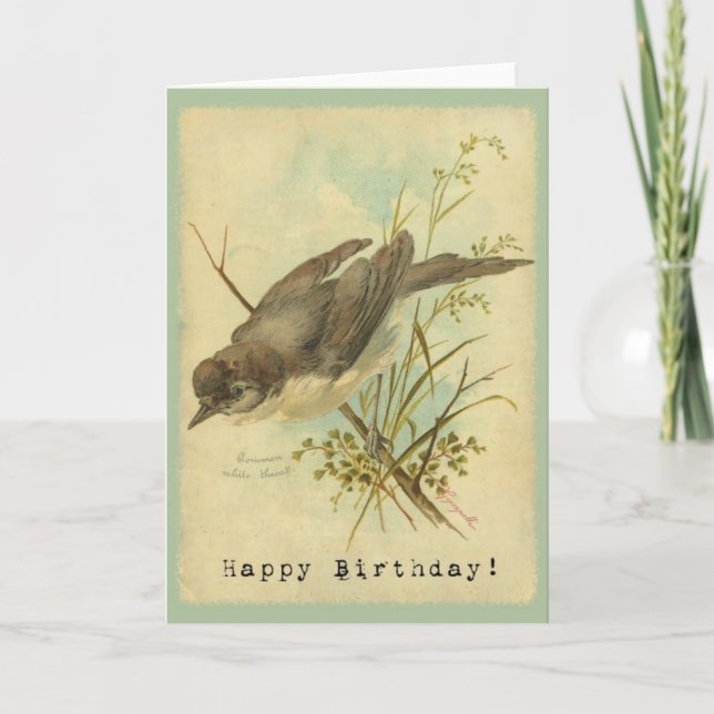 Vintage Bird, Birthday Card (Front)