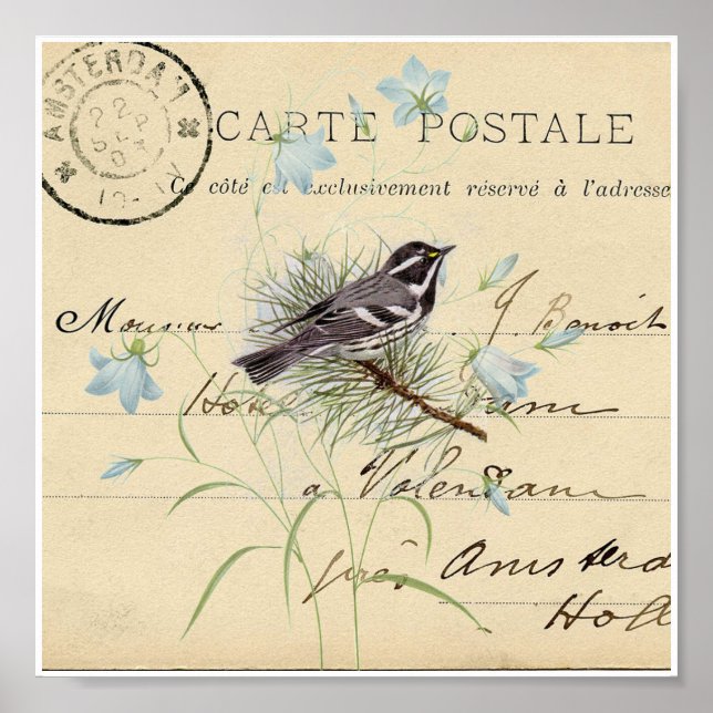 Vintage Bird Blue Flower French Postcard Art Print (Front)