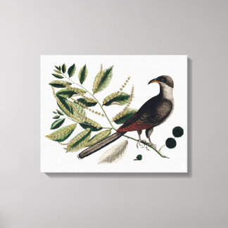Vintage bird botanical canvas print