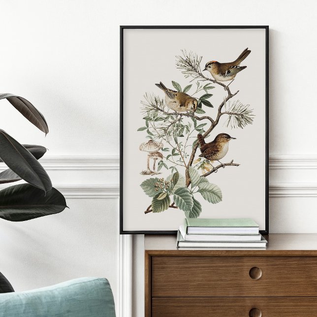 Vintage Bird Botanical Poster (Creator Uploaded)