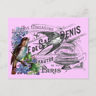 Vintage Bird Collage Postcard