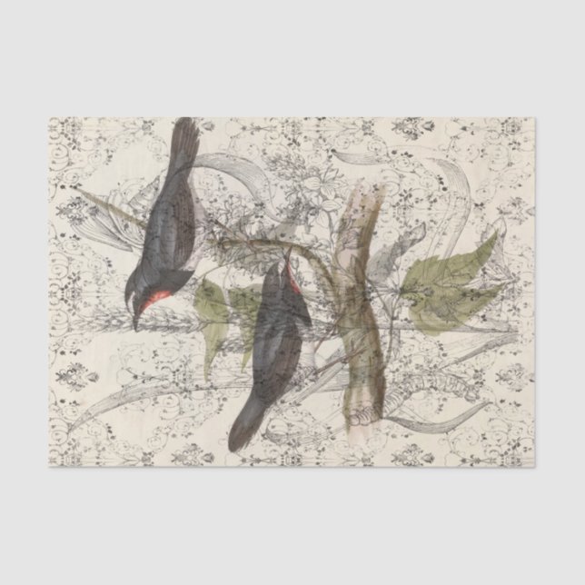 Vintage Bird Collage Tissue Paper (Front)