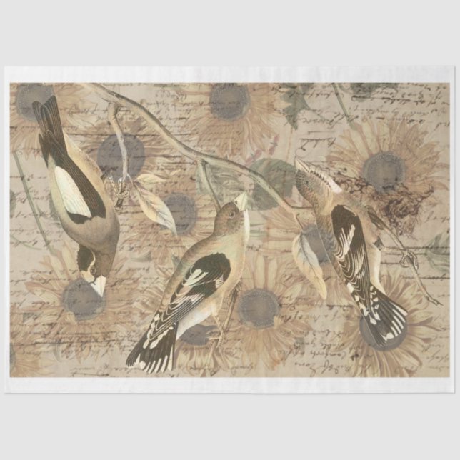 Vintage Bird Collage Tissue Paper (Front)
