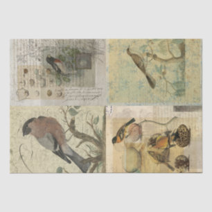 Vintage Bird Collages Tissue Paper