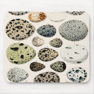 Vintage Bird Egg Illustration Mouse Pad