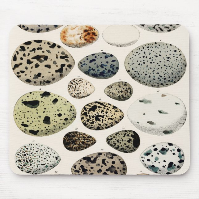 Vintage Bird Egg Illustration Mouse Pad (Front)