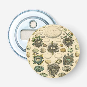 Vintage Bird Egg Nest Art Painting Eggs Bottle Opener