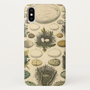 Vintage Bird Egg Nest Art Painting Eggs Case-Mate iPhone Case