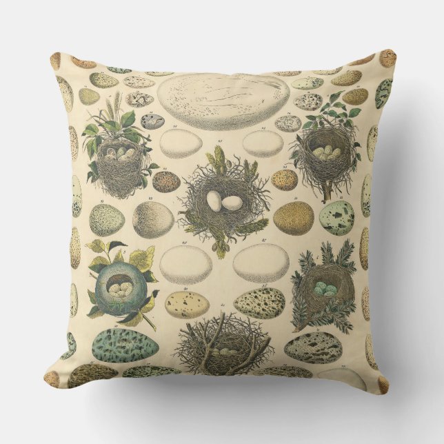 Vintage Bird Egg Nest Art Painting Eggs Cushion (Front)