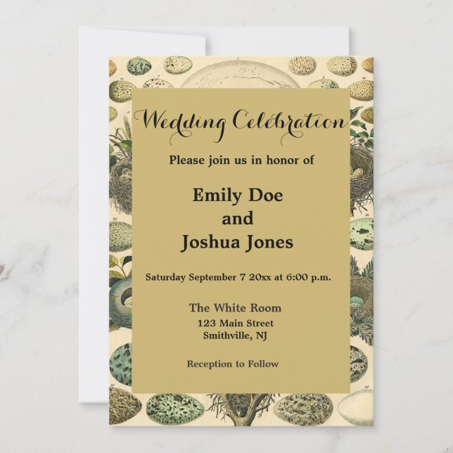 Vintage Bird Egg Nest Art Painting Eggs Invitation (Front)