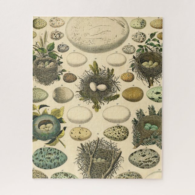 Vintage Bird Egg Nest Art Painting Eggs Jigsaw Puzzle (Vertical)