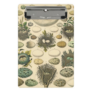 Vintage Bird Egg Nest Art Painting Eggs Mini Clipboard