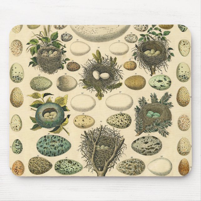 Vintage Bird Egg Nest Art Painting Mouse Pad (Front)
