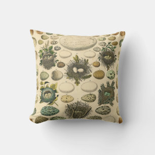 Vintage Bird Egg Nest Art Painting Natural History Cushion