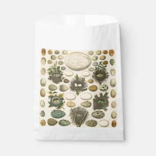 Vintage Bird Egg Nest Art Painting Natural History Favour Bags