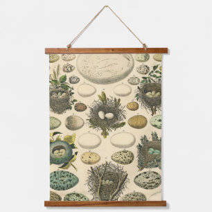 Vintage Bird Egg Nest Art Painting Natural History Hanging Tapestry