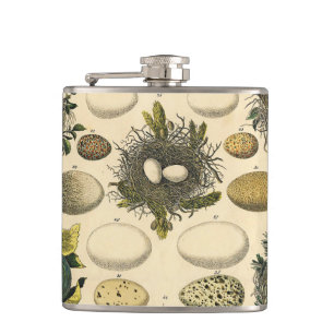 Vintage Bird Egg Nest Art Painting Natural History Hip Flask