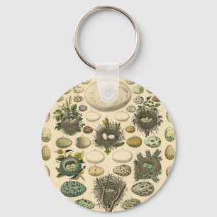 Vintage Bird Egg Nest Art Painting Natural History Key Ring
