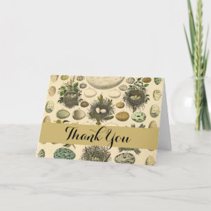 Vintage Bird Egg Nest Art Painting Natural History Thank You Card