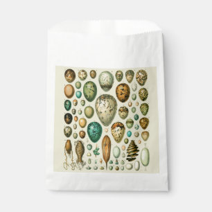 Vintage Bird Eggs French Fish Egg Art Favour Bags