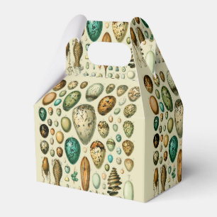 Vintage Bird Eggs French Fish Egg Art Favour Box