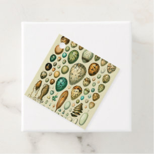 Vintage Bird Eggs French Fish Egg Art Favour Tags