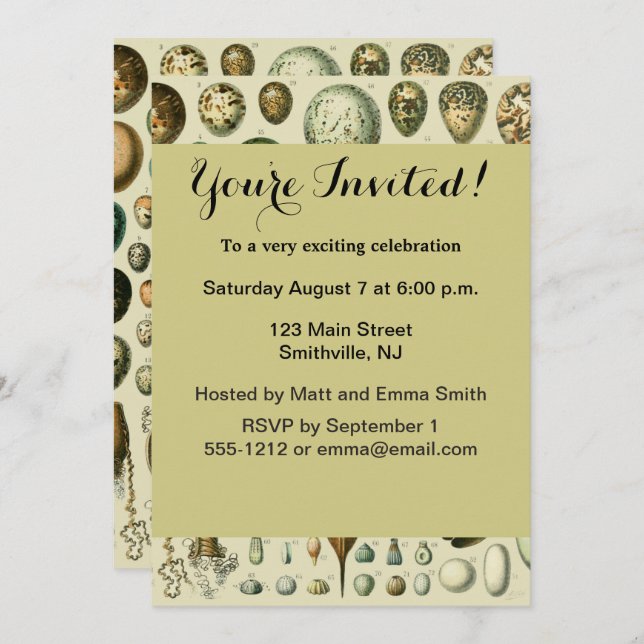 Vintage Bird Eggs French Fish Egg Art Invitation (Front/Back)