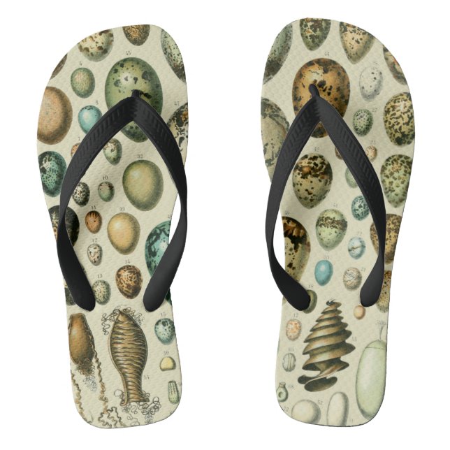 Vintage Bird Eggs French Fish Egg Art Jandals (Footbed)
