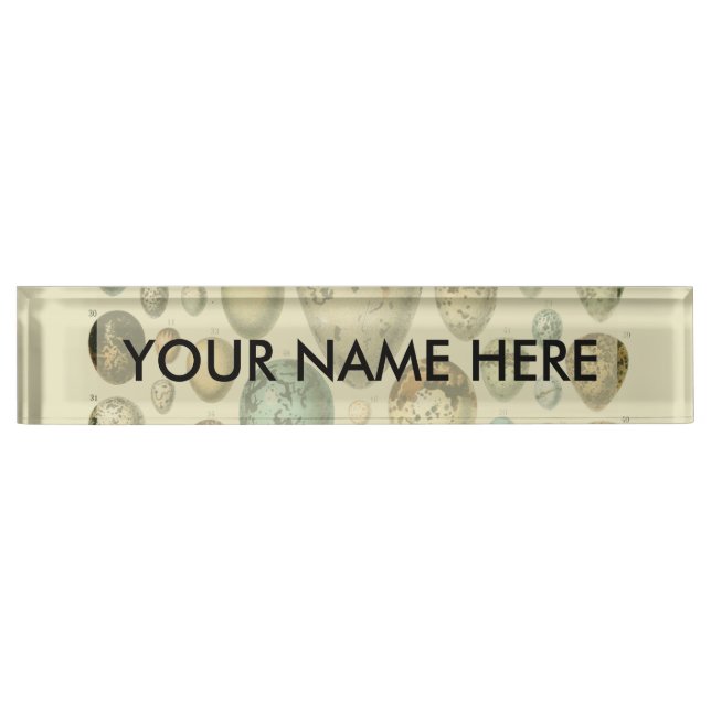 Vintage Bird Eggs French Fish Egg Art Nameplate (Front)