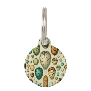 Vintage Bird Eggs French Fish Egg Art Pet Tag