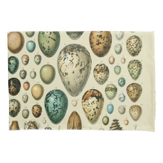 Vintage Bird Eggs French Fish Egg Art Pillowcase (Front)