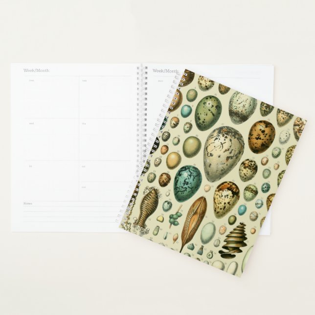 Vintage Bird Eggs French Fish Egg Art Planner (Display)
