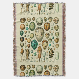 Vintage Bird Eggs French Fish Egg Art Throw Blanket