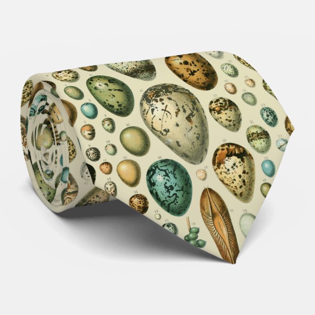Vintage Bird Eggs French Fish Egg Art Tie (Rolled)