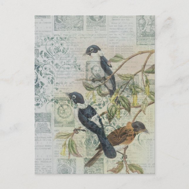 Vintage Bird Ephemera Decoupage Postcard (Front)