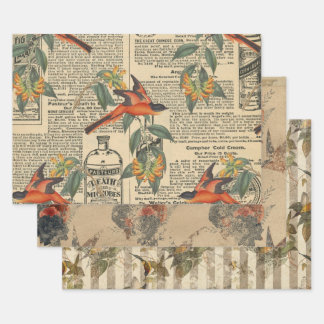 Vintage Bird Ephemera Decoupage Wrapping Paper