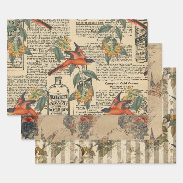 Vintage Bird Ephemera Decoupage Wrapping Paper (Set)