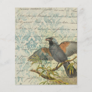 Vintage Bird Ephemera Scrapbook Paper Sheet 