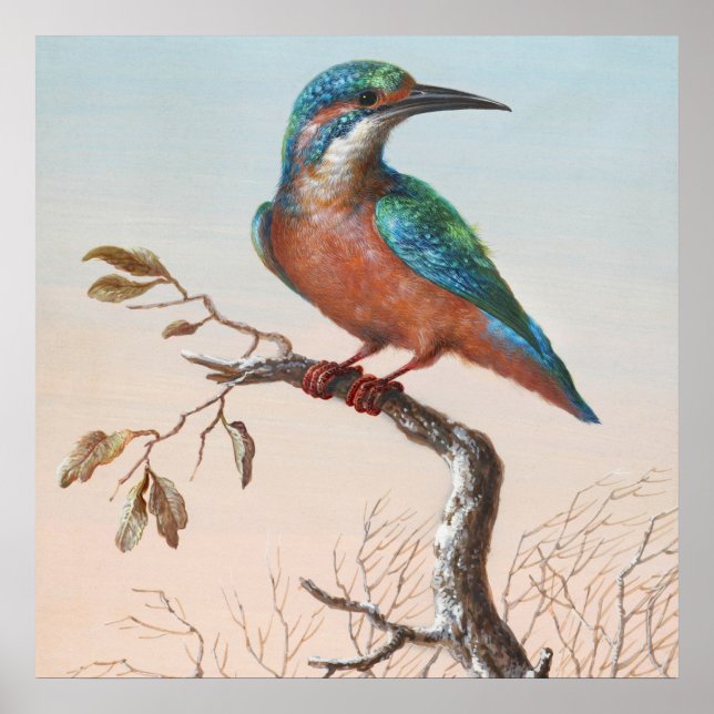 Vintage Bird Illustration Poster (Front)