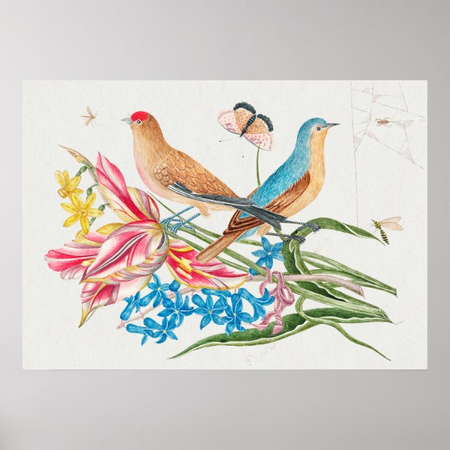 Vintage Bird Illustration Poster (Front)