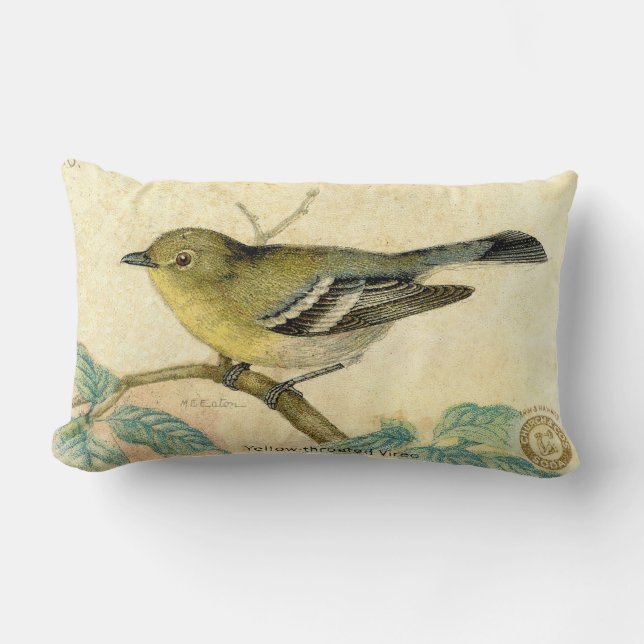 Vintage Bird Image Pillow (Front)