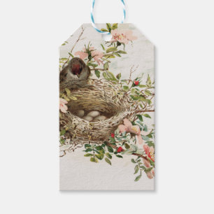 Vintage Bird in Nest Animal Print Gift Tags